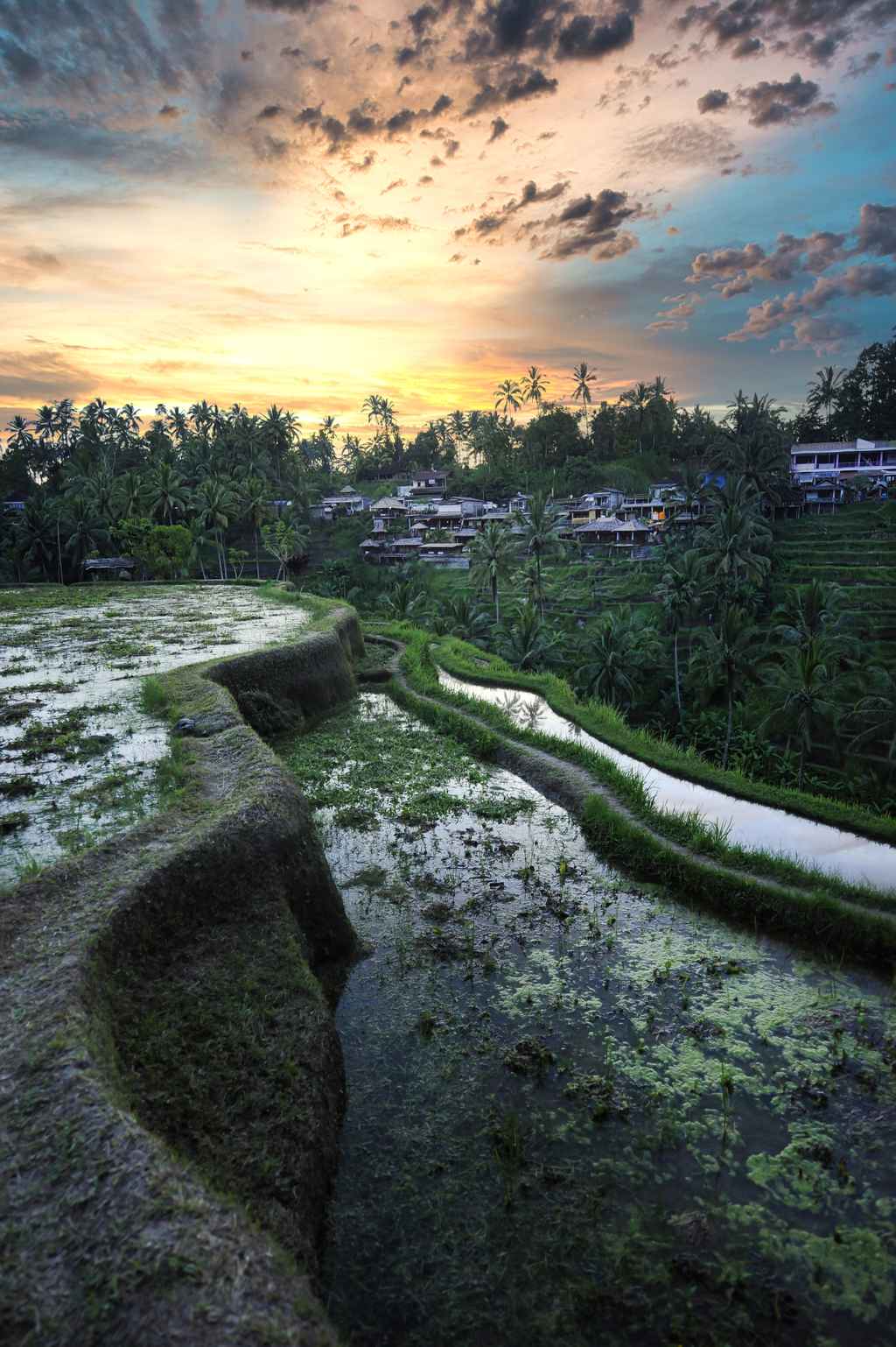 ubud bali